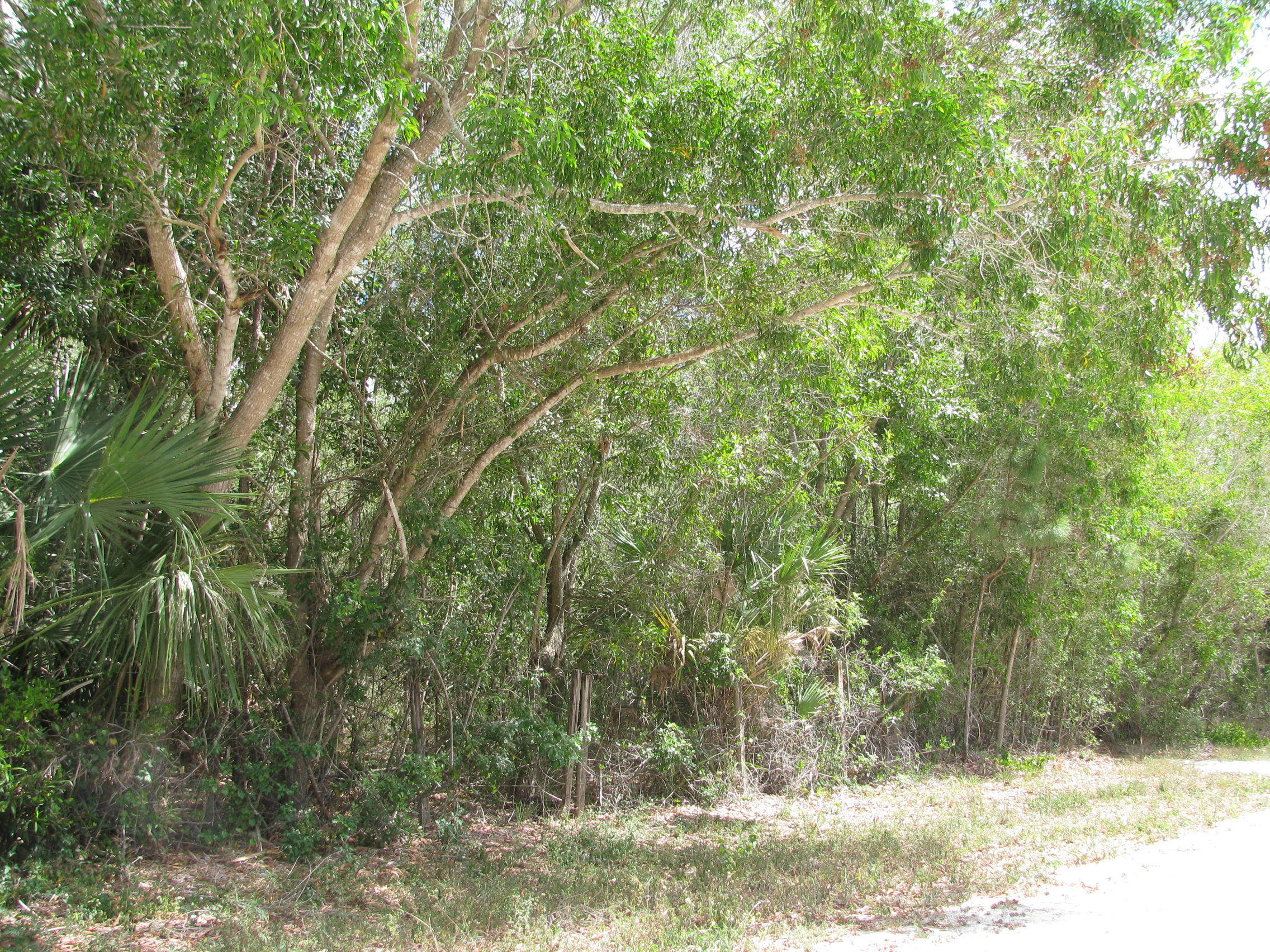 17811 93rd Road North Loxahatchee, FL 33470 - Photo 3 of 7 IMG_0724