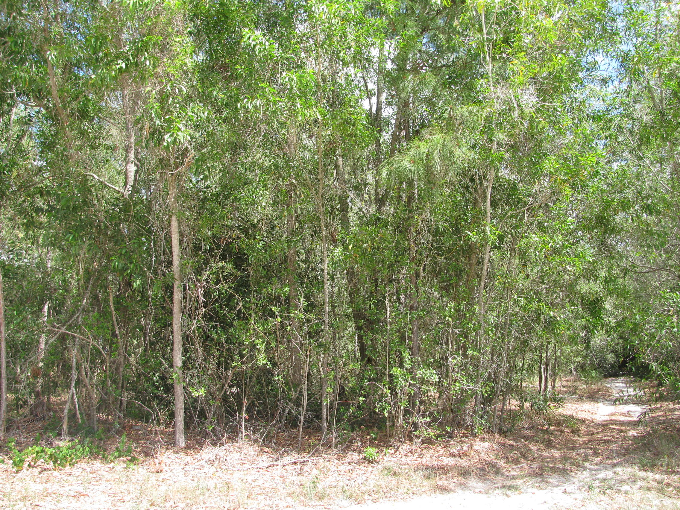 17811 93rd Road North Loxahatchee, FL 33470 - Photo 4 of 7 IMG_0726