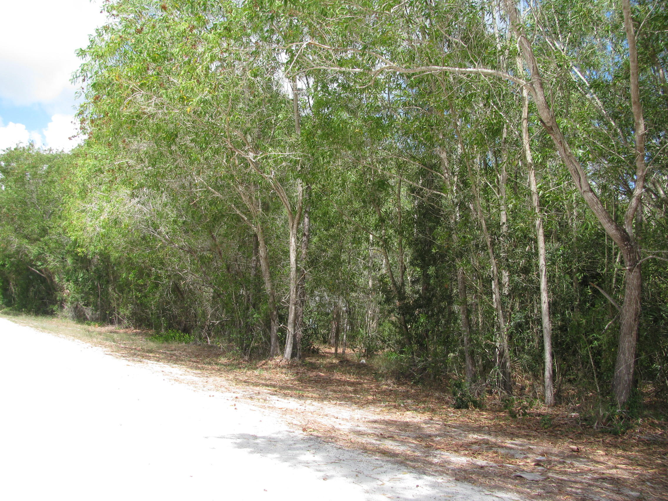 17811 93rd Road North Loxahatchee, FL 33470 - Photo 6 of 7 IMG_0728