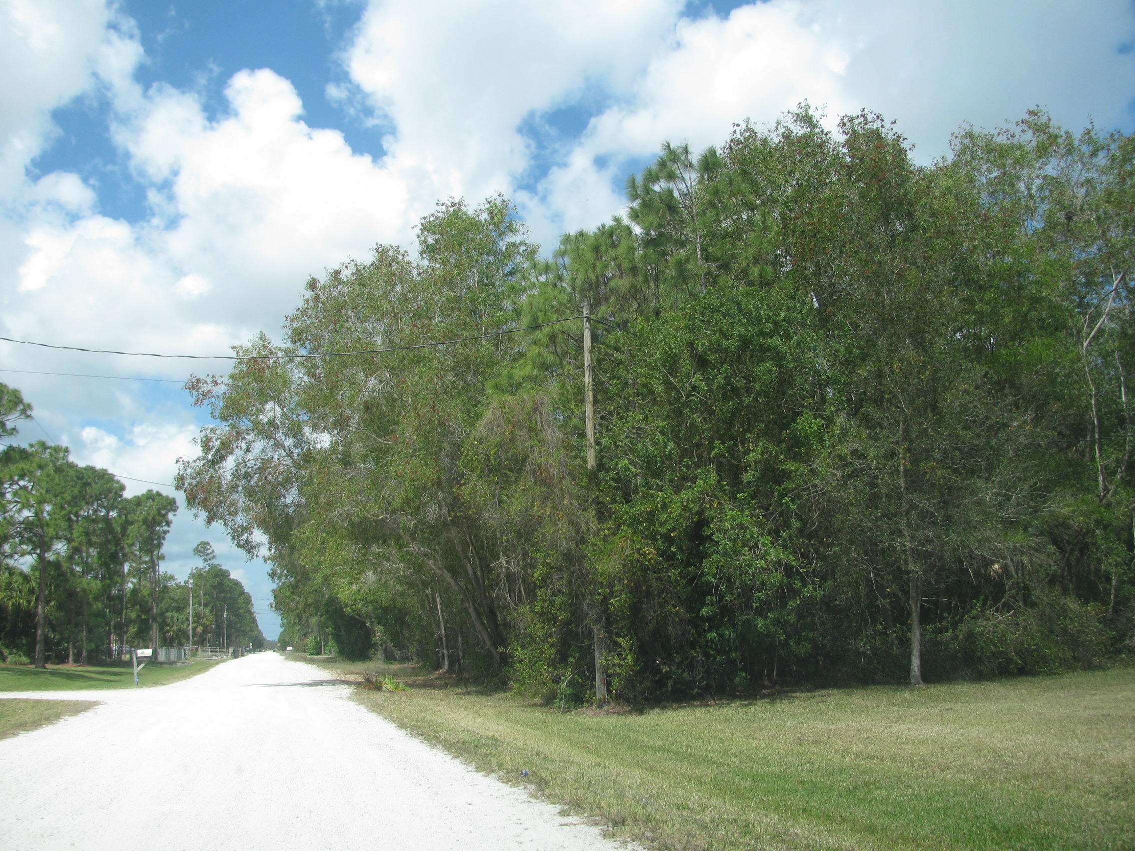 17811 93rd Road North Loxahatchee, FL 33470 - Photo 7 of 7 IMG_0729