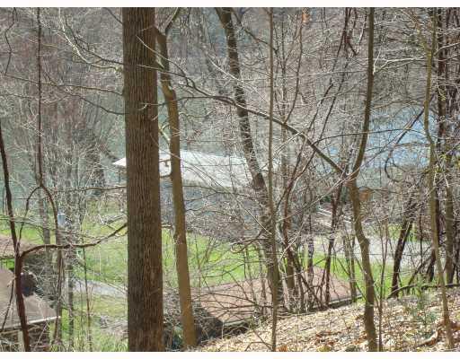 151 Lower Riviera Road Emlenton, PA 16373 - Photo 18 of 18 Other. View from Riviera Road looking down through the trees toward the river.