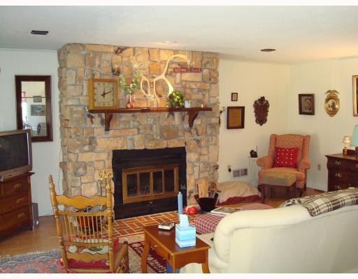 151 Lower Riviera Road Emlenton, PA 16373 - Photo 4 of 18 Living Room. The open floor plan features a log burning fireplace.
