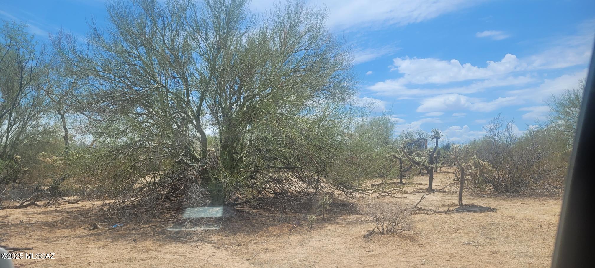 15671 West Many Horses Road, Unit 24 Tucson, AZ 85736 - Photo 2 of 4 Gallery Image 2