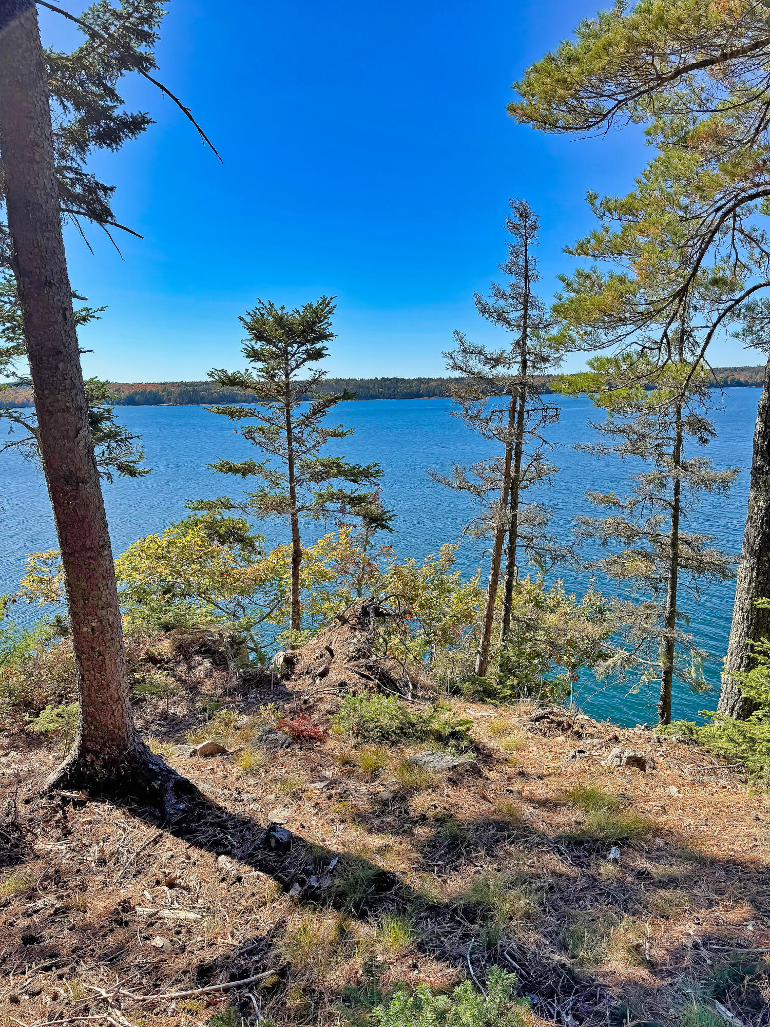 Lot 6 Sunset Road Brooksville, ME 04617 - Photo 31 of 35