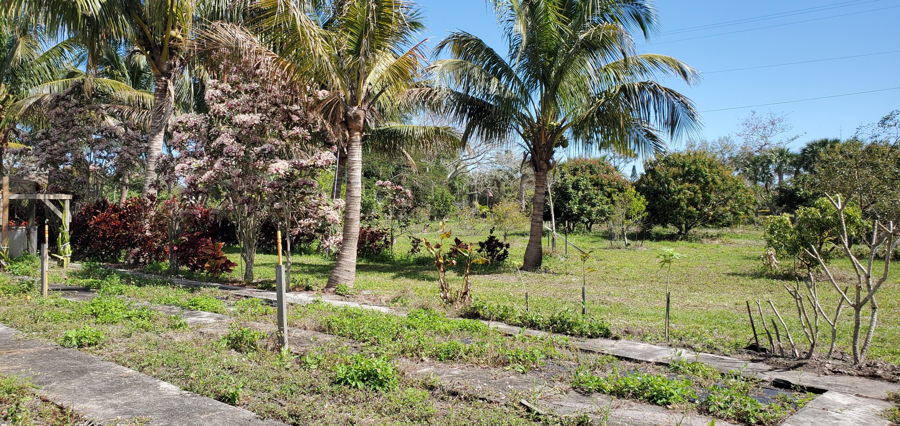 9570 Orange Avenue Fort Pierce, FL 34945 - Photo 19 of 33 20250223_115053