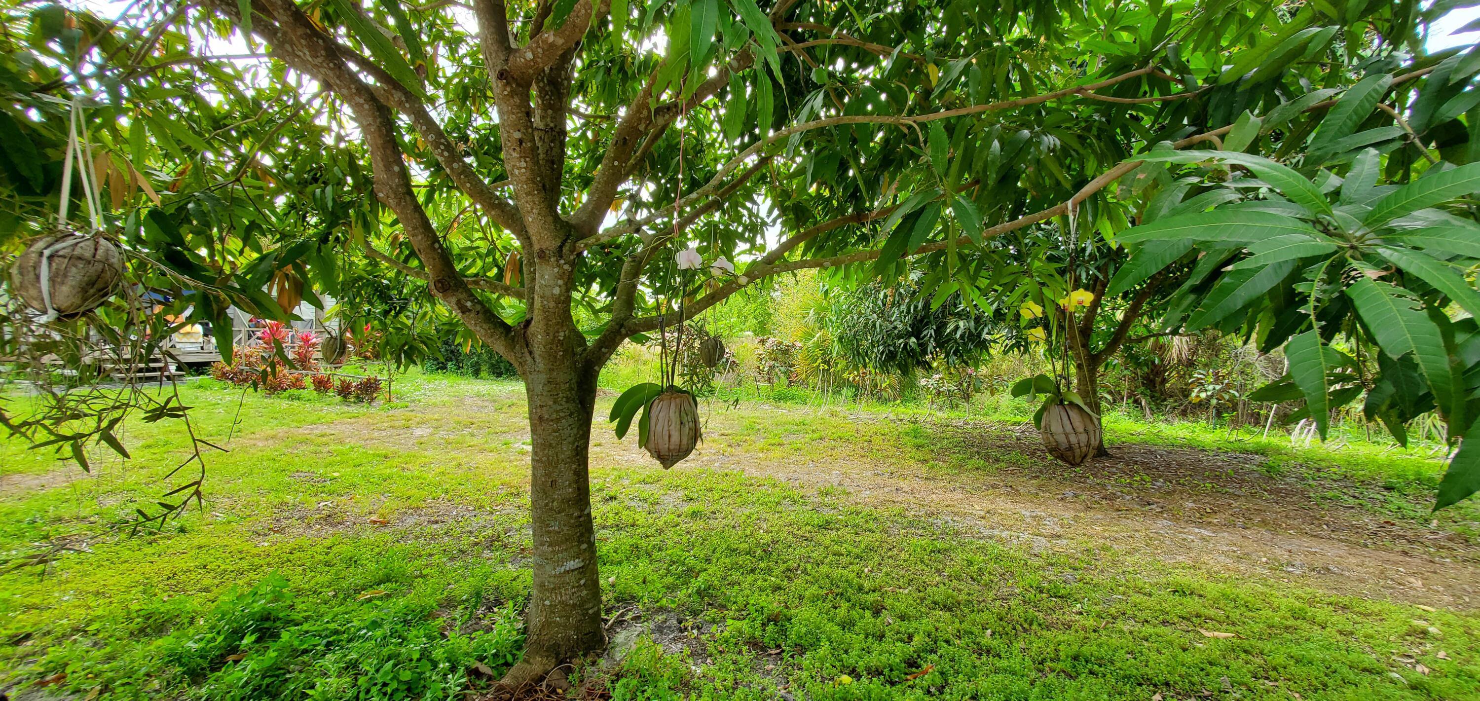 9570 Orange Avenue Fort Pierce, FL 34945 - Photo 20 of 33 20250222_142816