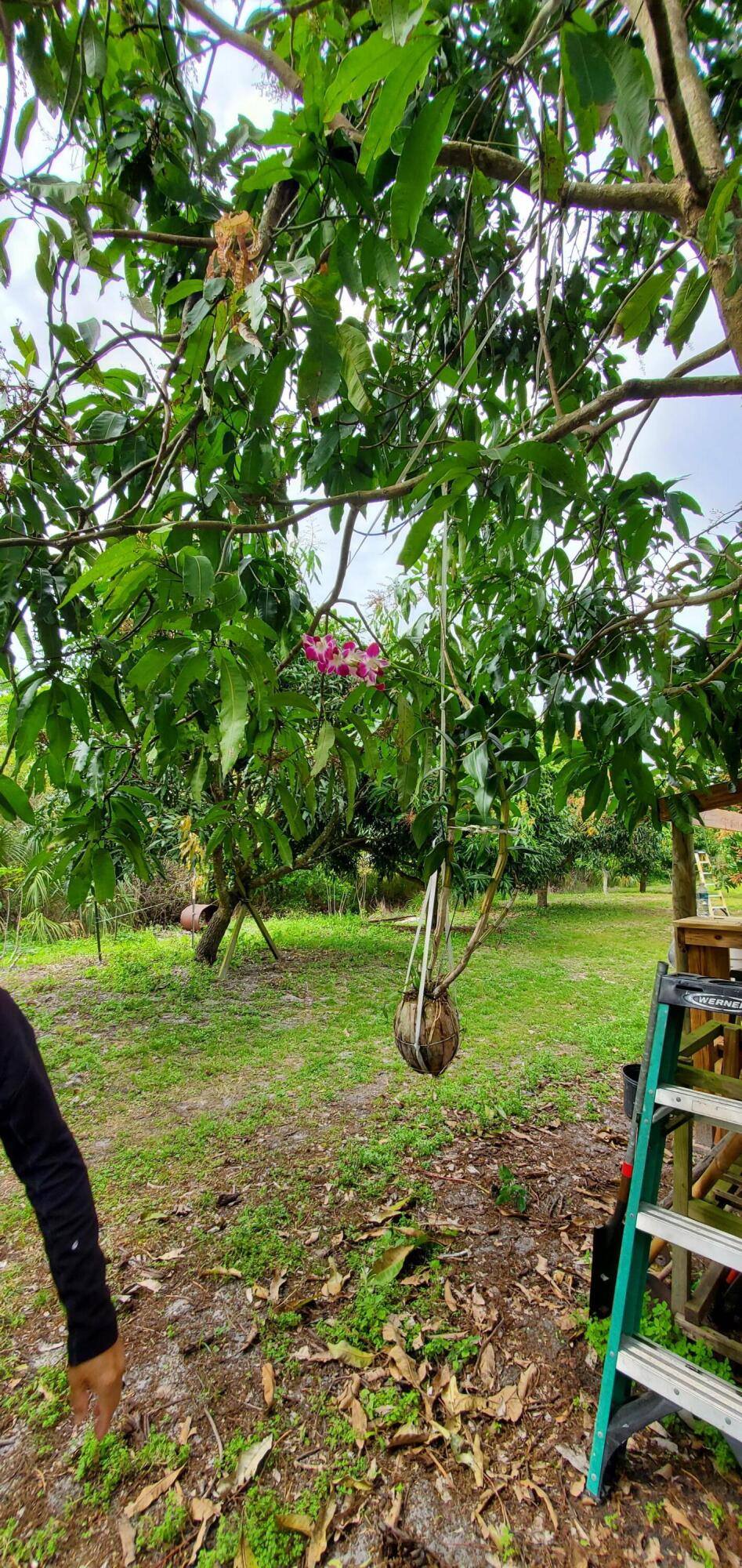 9570 Orange Avenue Fort Pierce, FL 34945 - Photo 22 of 33 20250222_142747