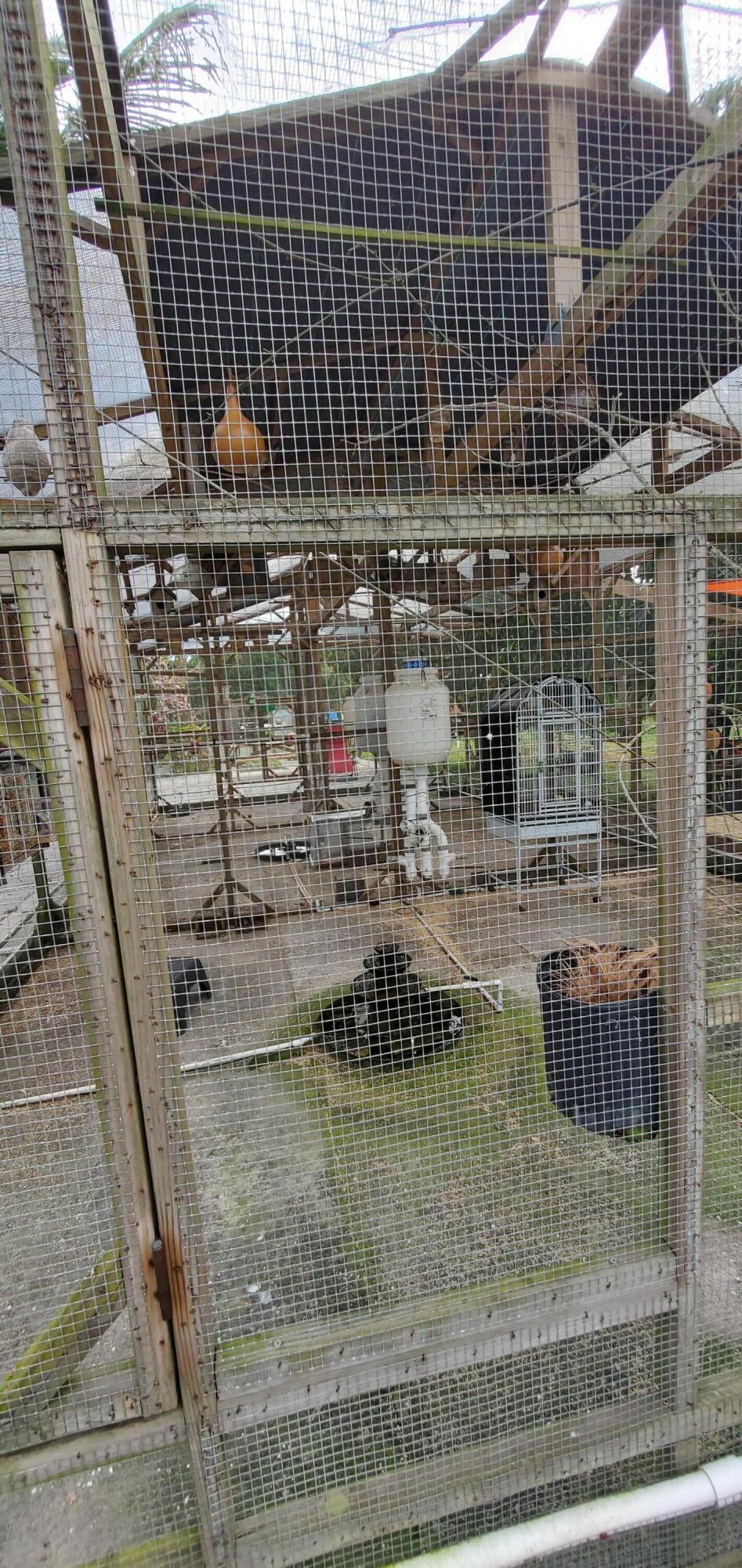 9570 Orange Avenue Fort Pierce, FL 34945 - Photo 23 of 33 20250222_142605