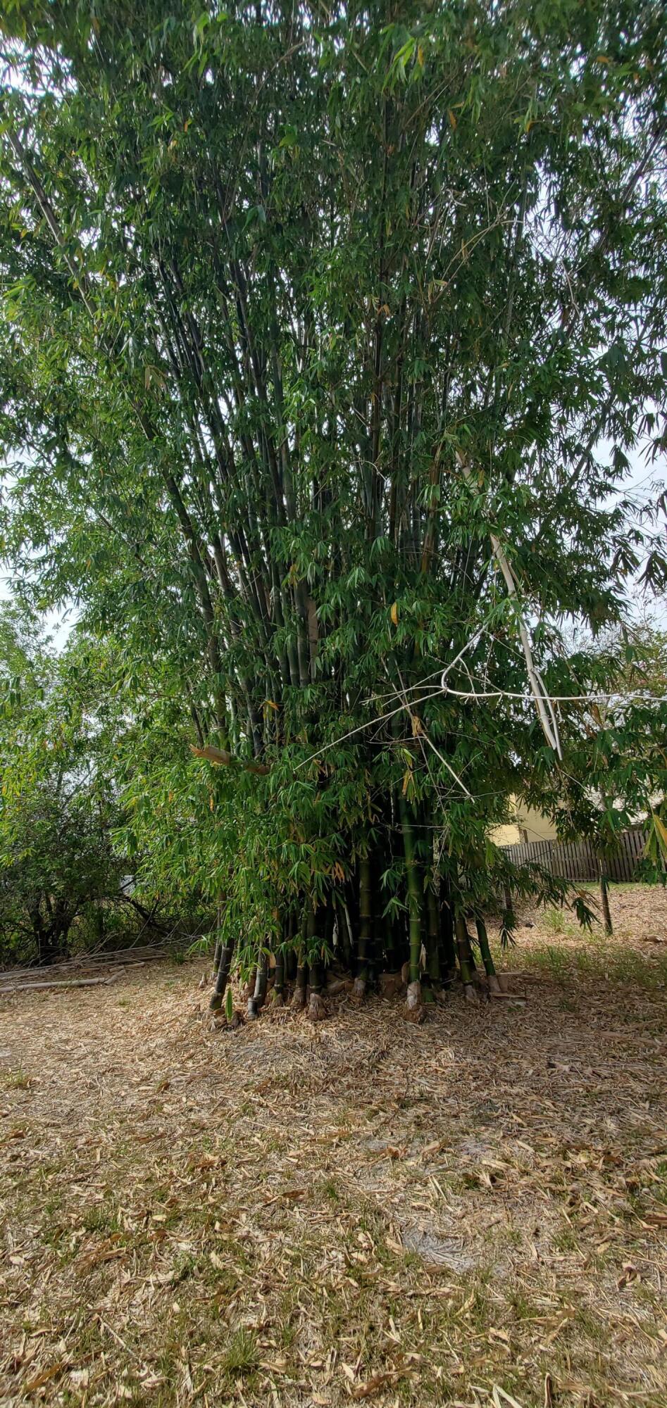 9570 Orange Avenue Fort Pierce, FL 34945 - Photo 24 of 33 20250222_141046