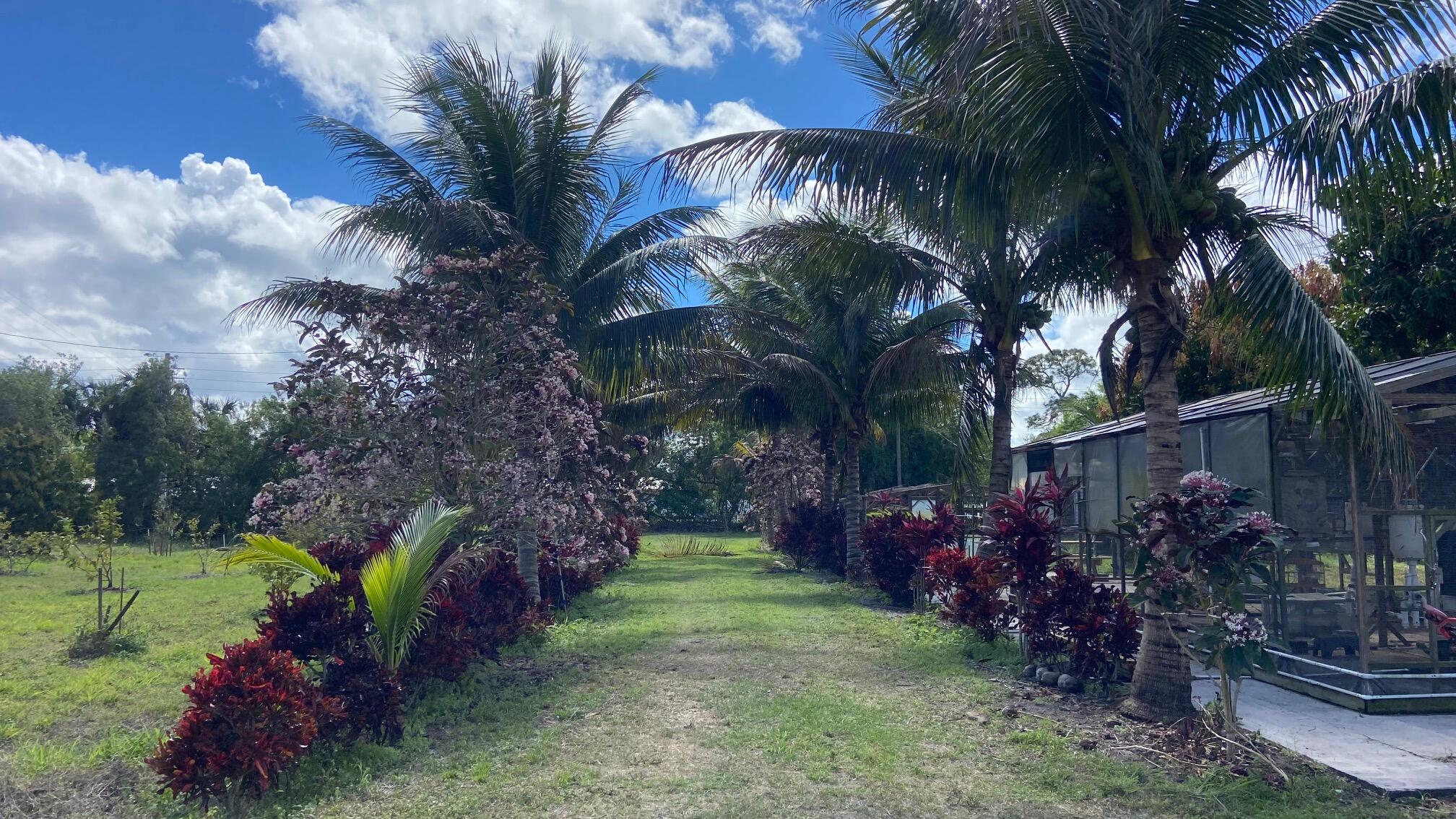 9570 Orange Avenue Fort Pierce, FL 34945 - Photo 9 of 33 IMG_0153