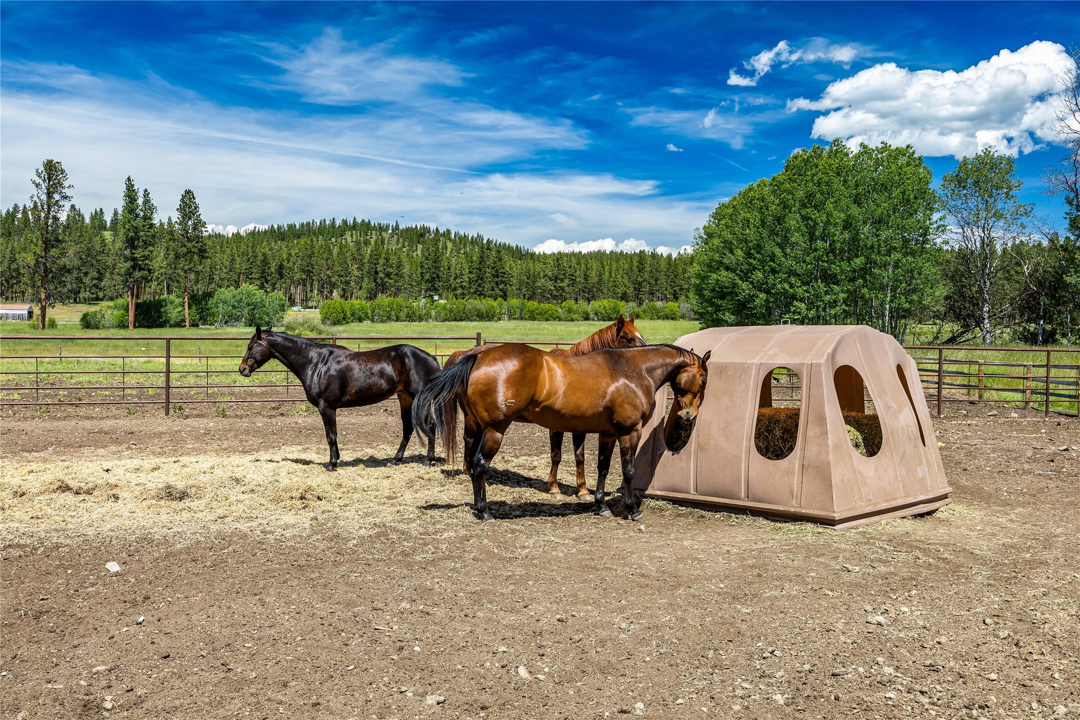 1330 Hole In The Wall Road Bonner, MT 59823 - Photo 19 of 77 Gallery Image 19