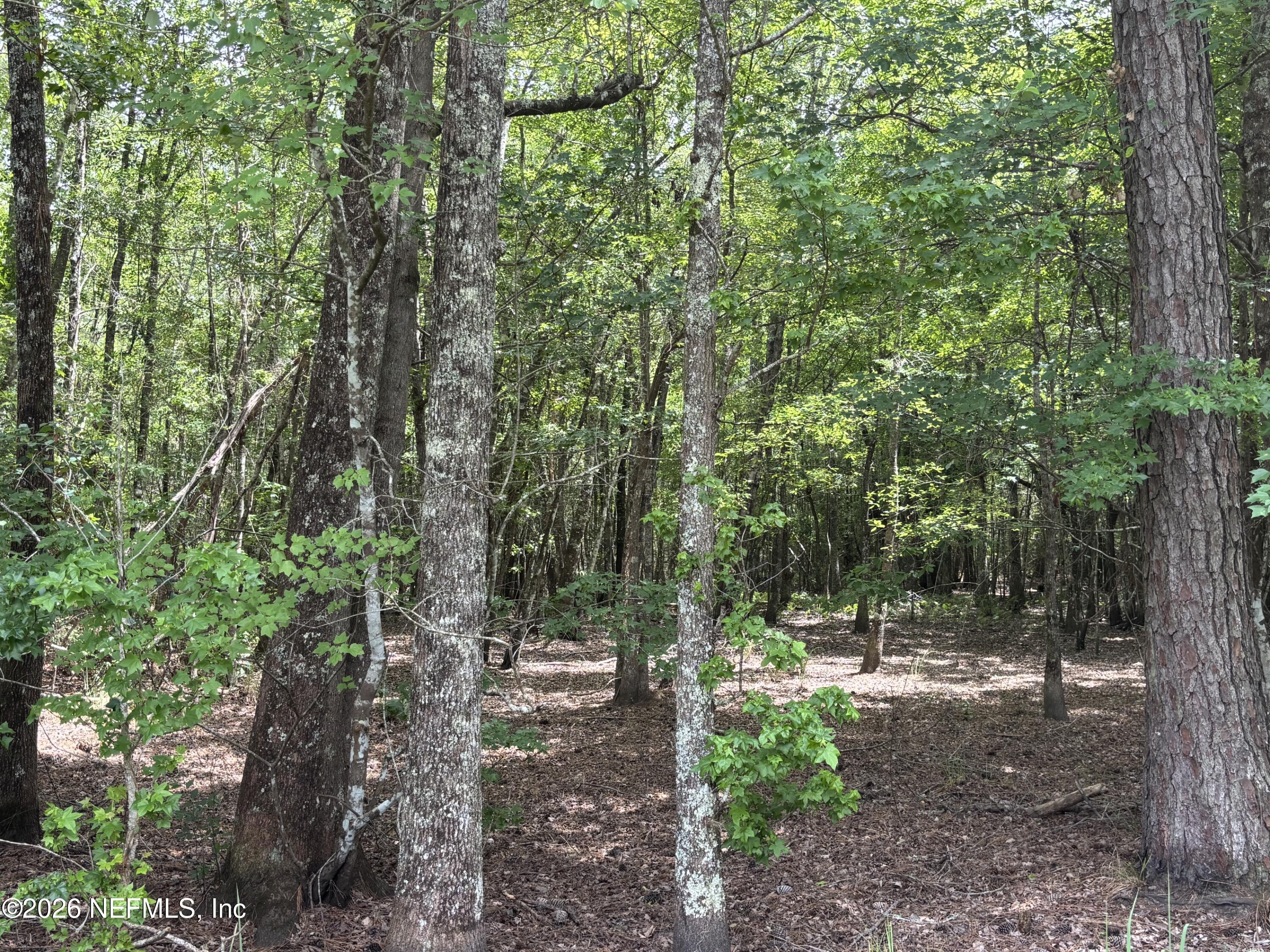 0 Lake Hampton Road Hilliard, FL 32046 - Photo 21 of 23 a view of outdoor space and tree
