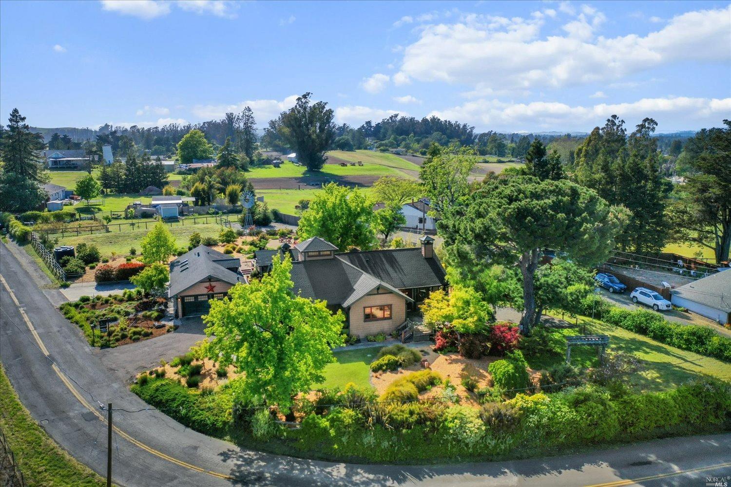 a view of a garden with a house in the background