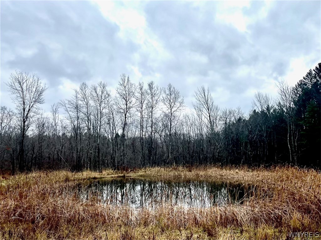 8949 Weaver Road Centerville, NY 14744 - Photo 19 of 31