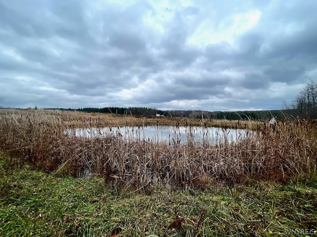 8949 Weaver Road Centerville, NY 14744 - Photo 20 of 31