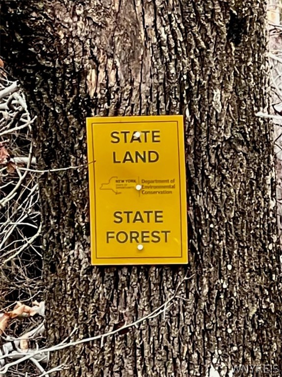 8949 Weaver Road Centerville, NY 14744 - Photo 21 of 31