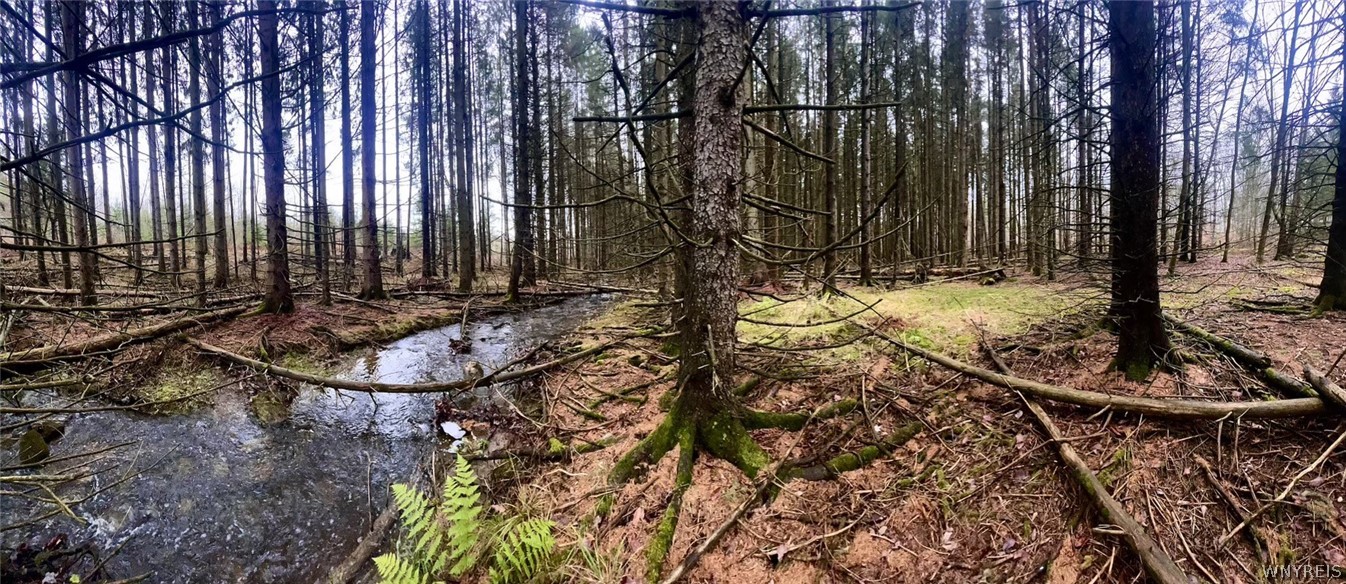 8949 Weaver Road Centerville, NY 14744 - Photo 22 of 31