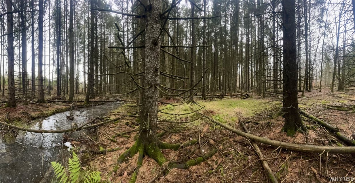 8949 Weaver Road Centerville, NY 14744 - Photo 23 of 31