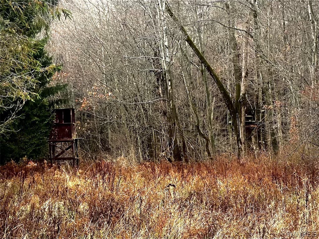 8949 Weaver Road Centerville, NY 14744 - Photo 24 of 31