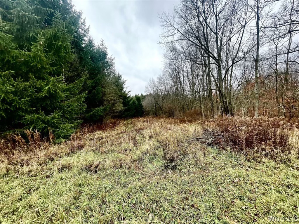 8949 Weaver Road Centerville, NY 14744 - Photo 25 of 31