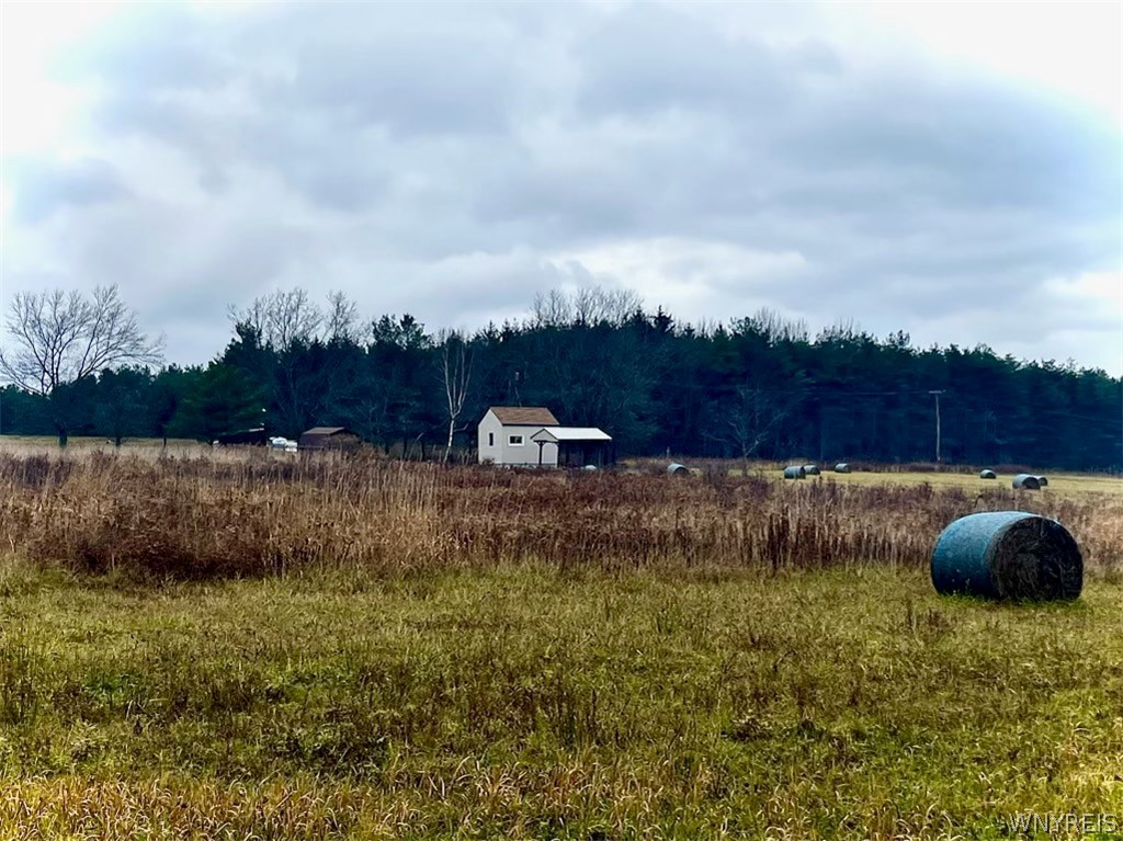 8949 Weaver Road Centerville, NY 14744 - Photo 26 of 31