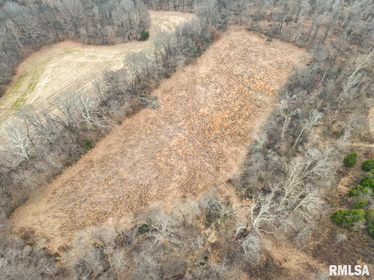 200 Weaver Lane Buncombe, IL 62912 - Photo 17 of 35