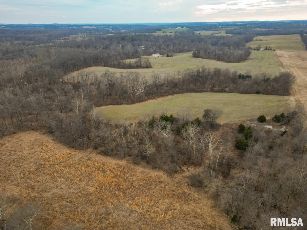 200 Weaver Lane Buncombe, IL 62912 - Photo 20 of 35