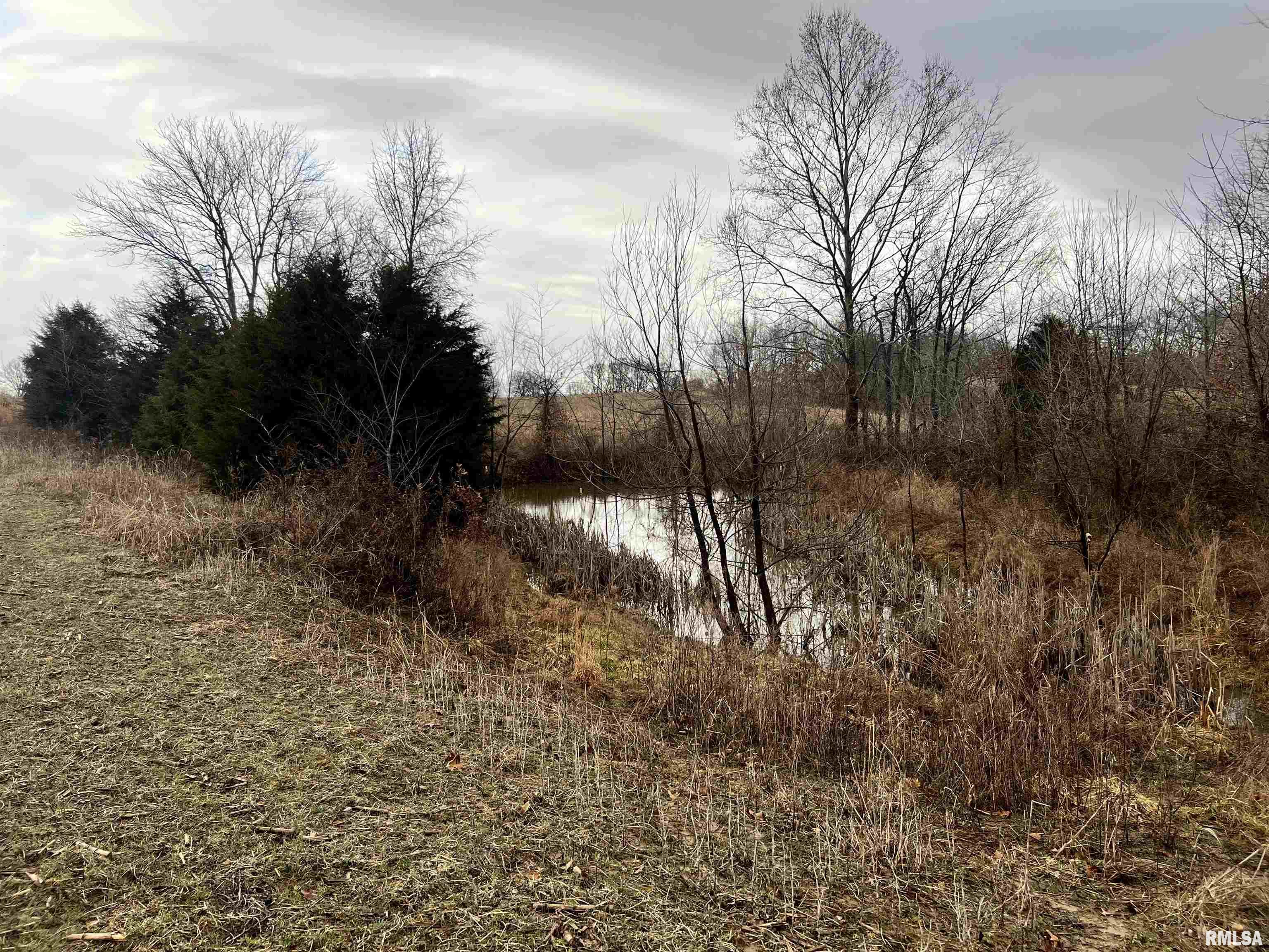 200 Weaver Lane Buncombe, IL 62912 - Photo 22 of 35
