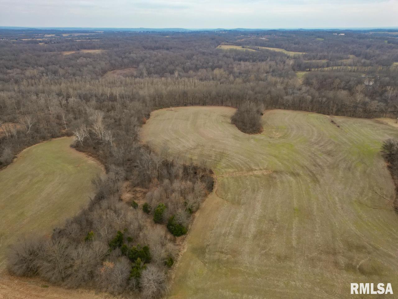 200 Weaver Lane Buncombe, IL 62912 - Photo 31 of 35
