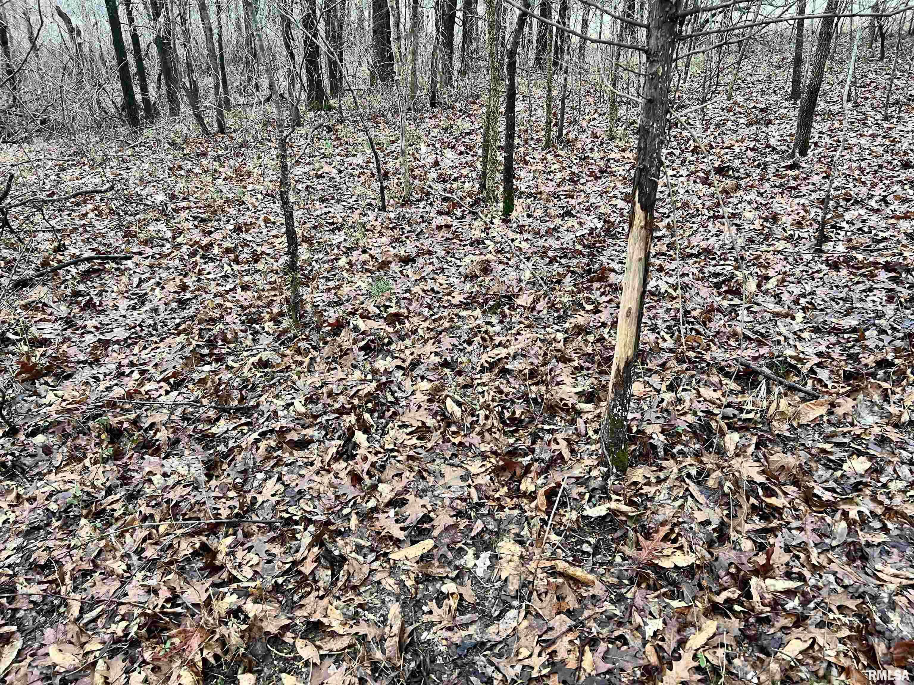 200 Weaver Lane Buncombe, IL 62912 - Photo 34 of 35