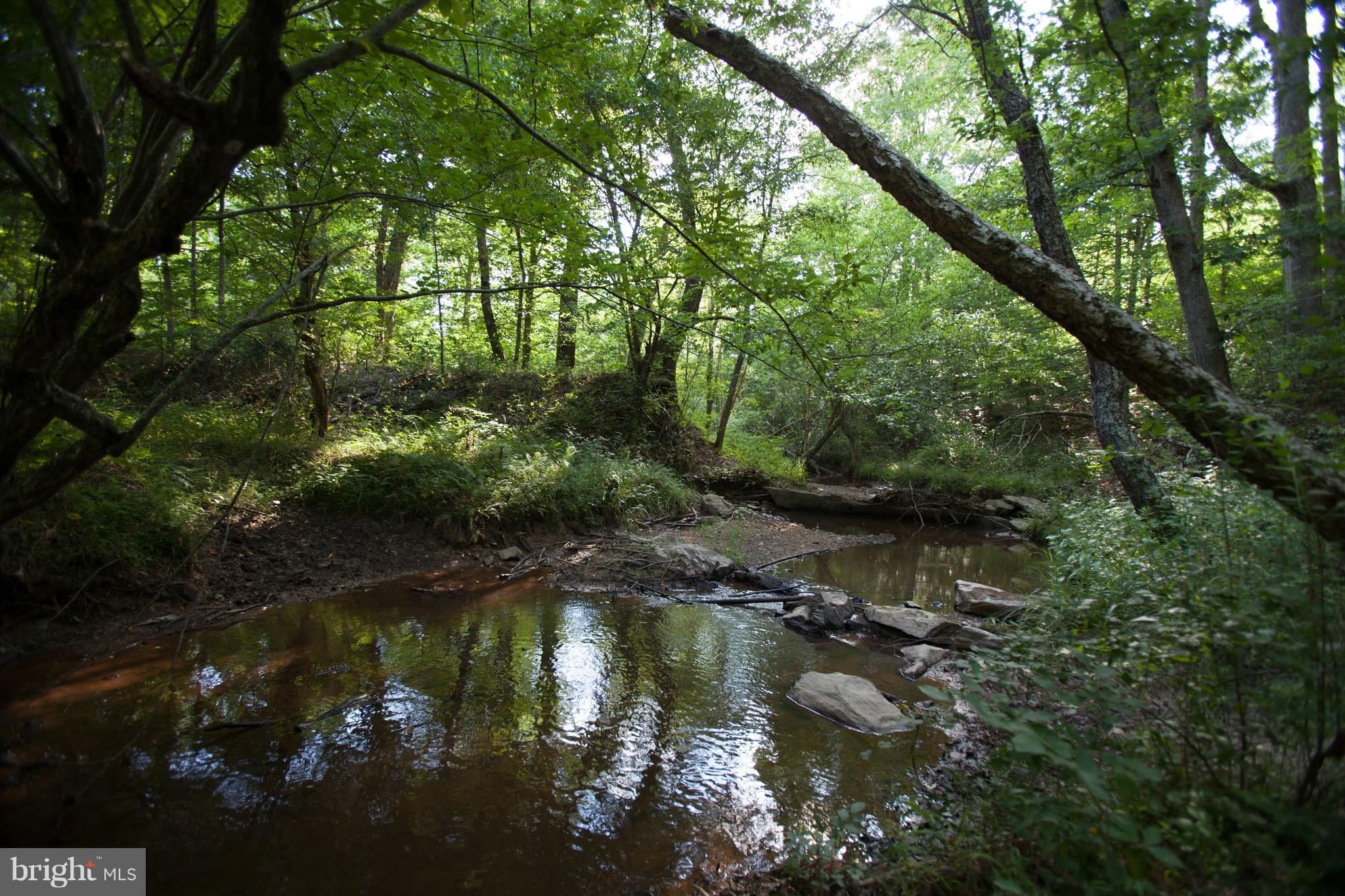 32020 Russel Road Locust Grove, VA 22508 - Photo 19 of 23 Private Waterfall