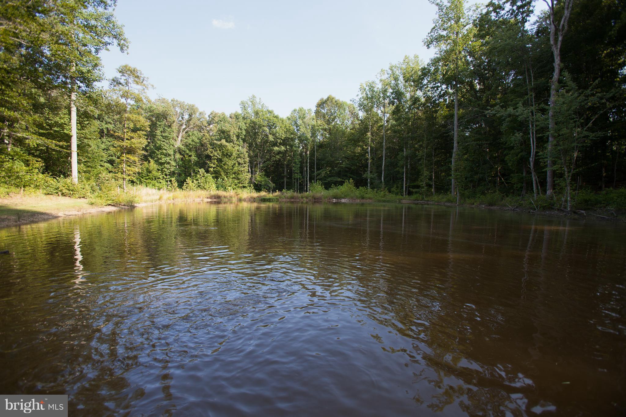 32020 Russel Road Locust Grove, VA 22508 - Photo 21 of 23 Stocked Pond