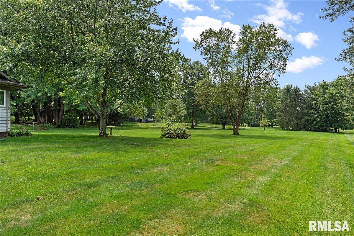 6378 Deer Run Road Rochester, IL 62563 - Photo 33 of 49