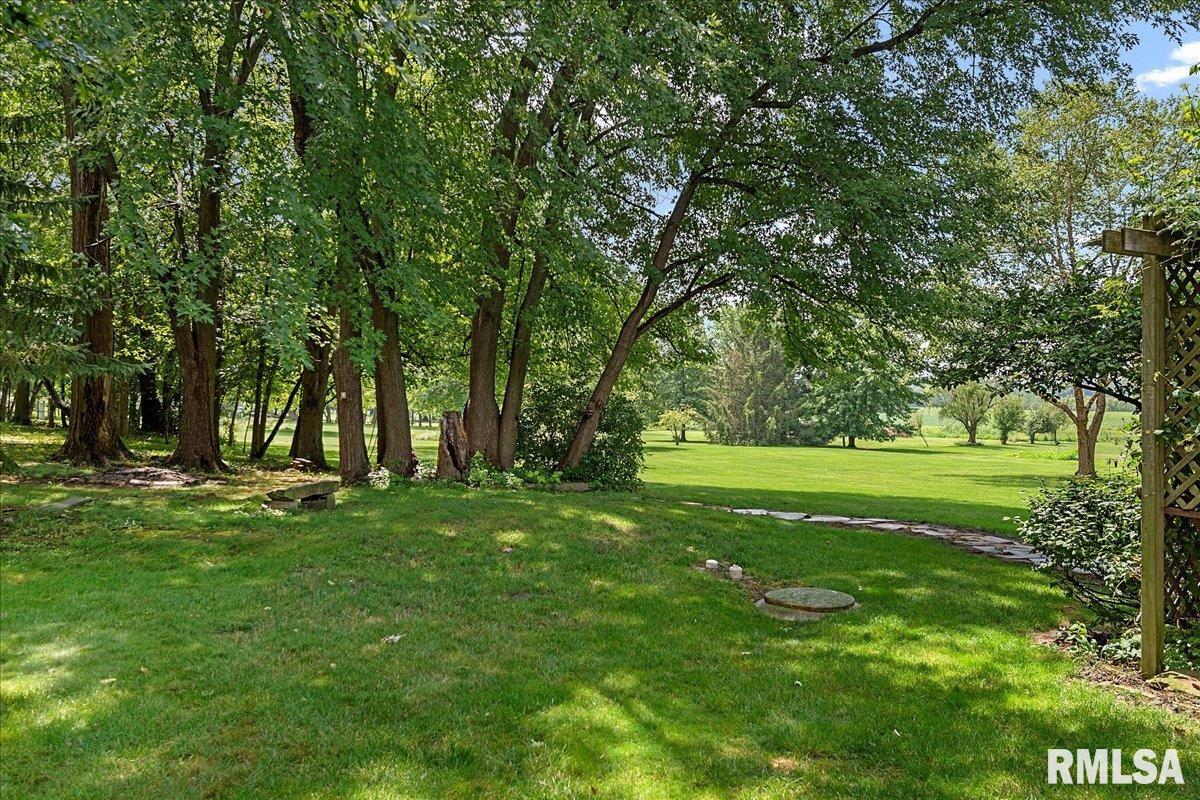 6378 Deer Run Road Rochester, IL 62563 - Photo 41 of 49