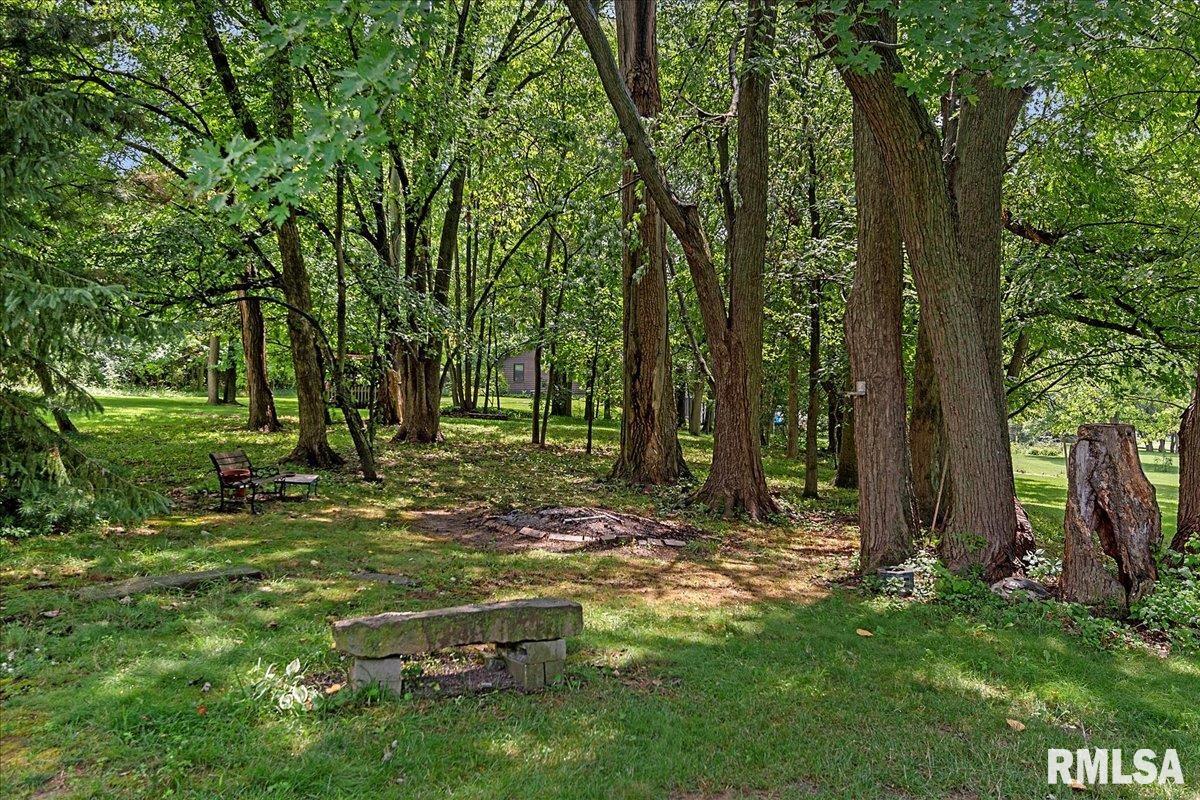 6378 Deer Run Road Rochester, IL 62563 - Photo 42 of 49