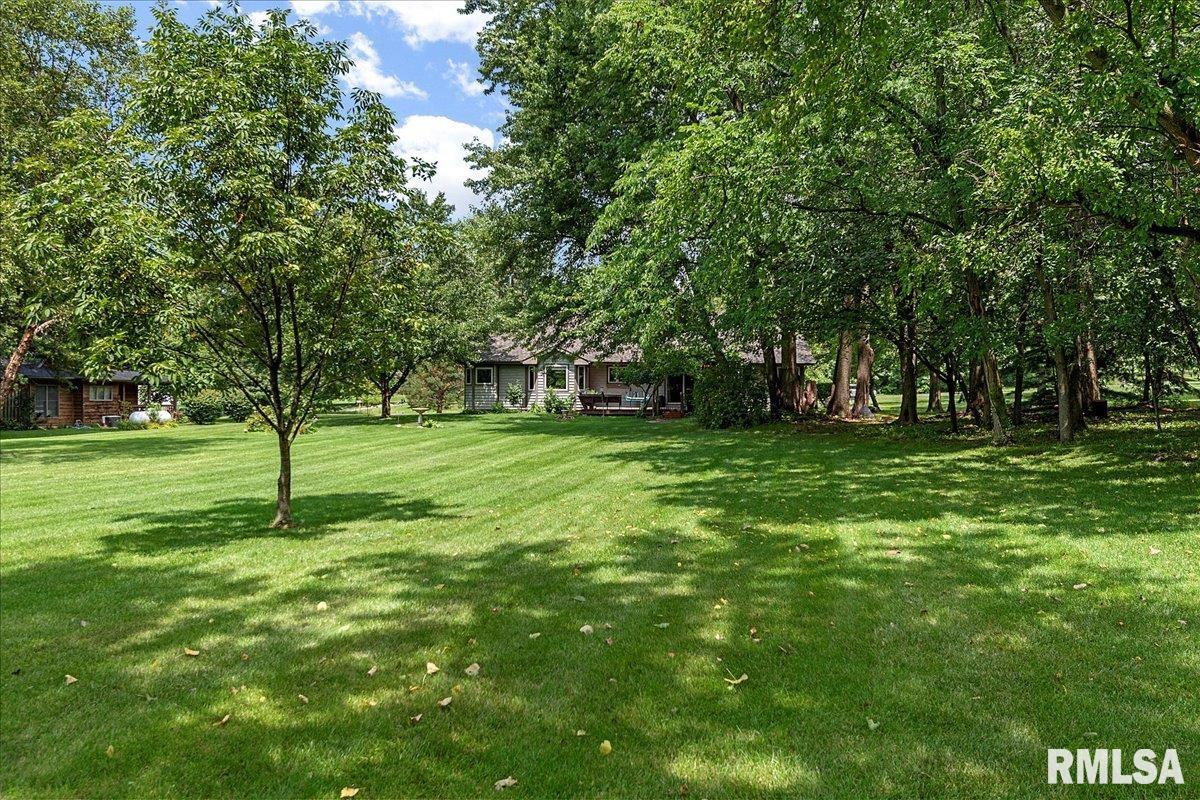 6378 Deer Run Road Rochester, IL 62563 - Photo 43 of 49