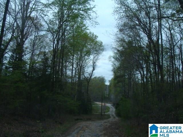 406 Caffe Ridge, Unit PARCEL Woodstock, AL 35188 - Photo 20 of 30