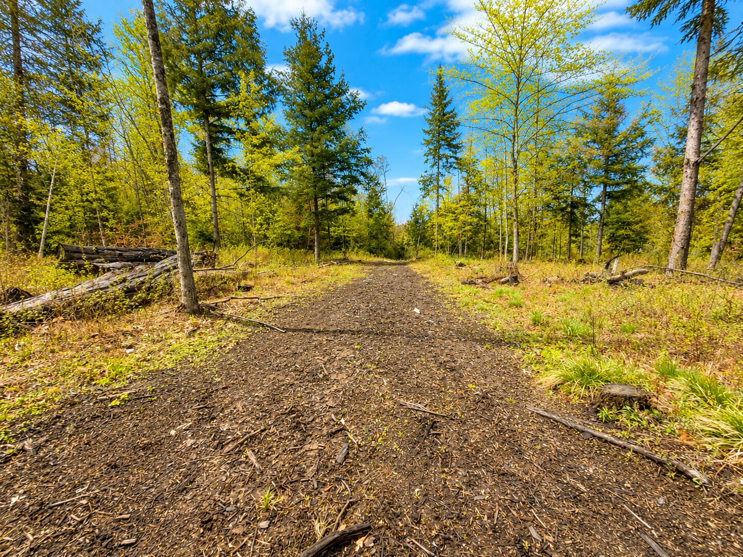 Map13-lot30 Clarks Bridge Road North Waterboro, ME 04061 - Photo 2 of 6 24769E4C-FED4-4619-8875-DB49FB1198F4
