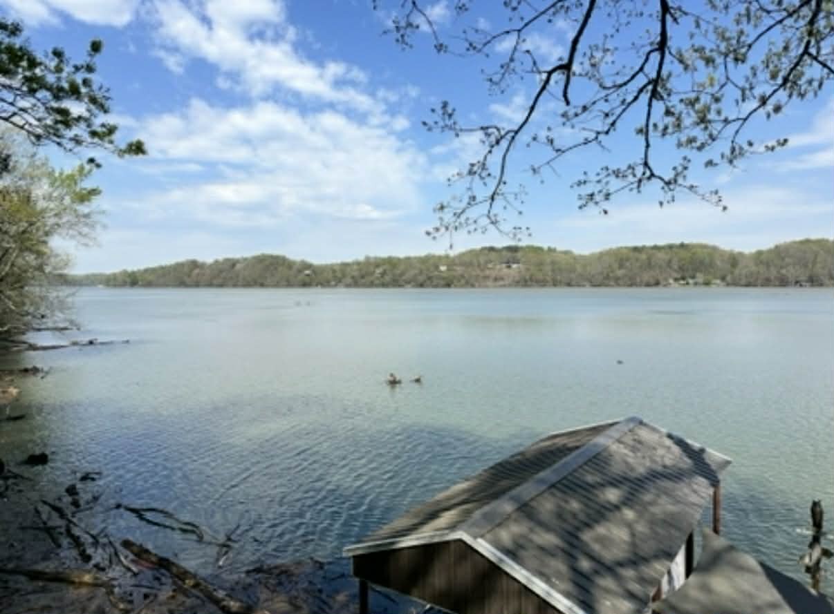 18531 Bream Bluff Athens, AL 35611 - Photo 35 of 41 a view of a lake with a mountain in the back
