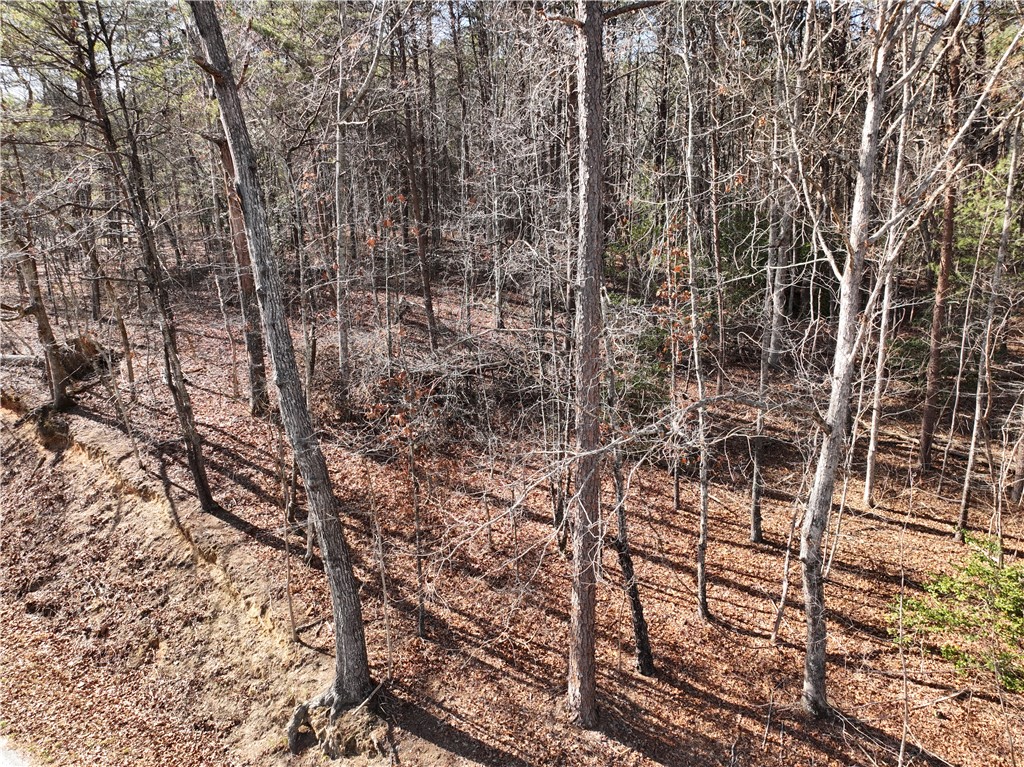 Tract B Old Unity Road Westminster, SC 29693 - Photo 8 of 12 This scenic wooded property offers ample space for a custom-built home.