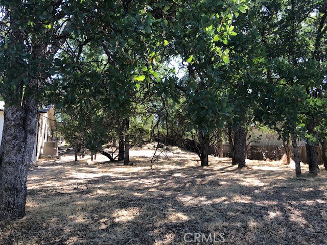 19200 Moon Ridge Road Hidden Valley Lake, CA 95467 - Photo 2 of 5 a view of outdoor space with trees