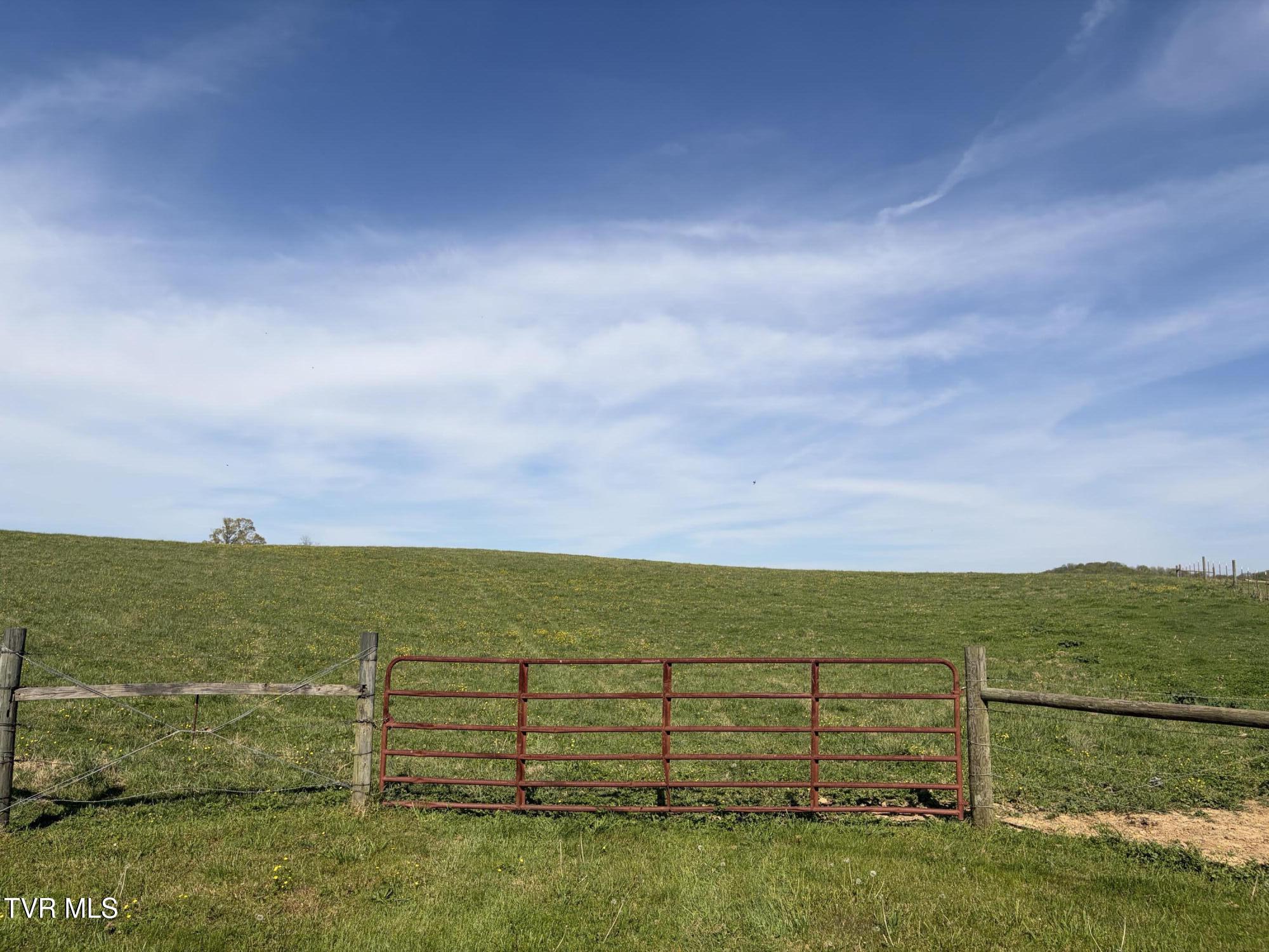 Lot 6 Ward Rowe Road, Unit 6 Limestone, TN 37681 - Photo 11 of 11 IMG_3909