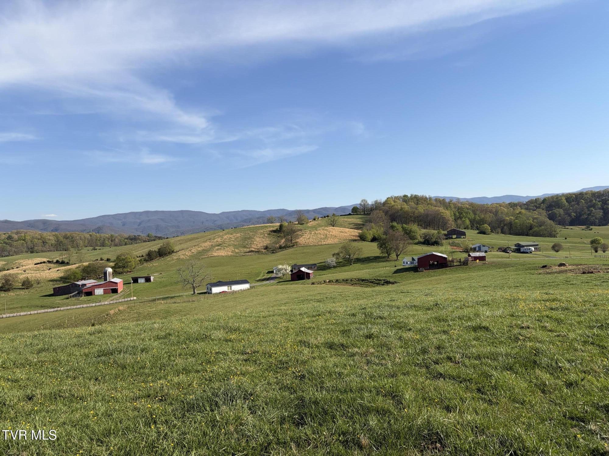 Lot 6 Ward Rowe Road, Unit 6 Limestone, TN 37681 - Photo 3 of 11 IMG_3957