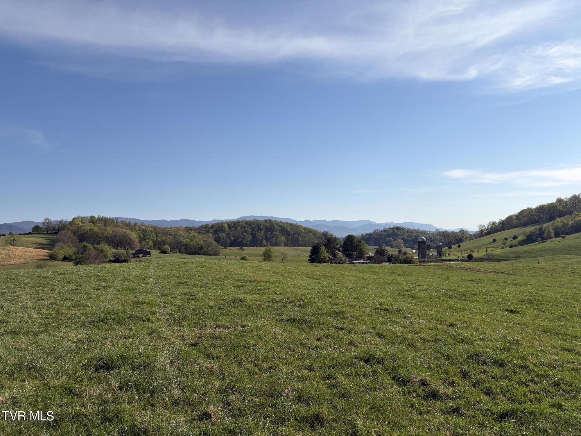 Lot 6 Ward Rowe Road, Unit 6 Limestone, TN 37681 - Photo 5 of 11 IMG_3955