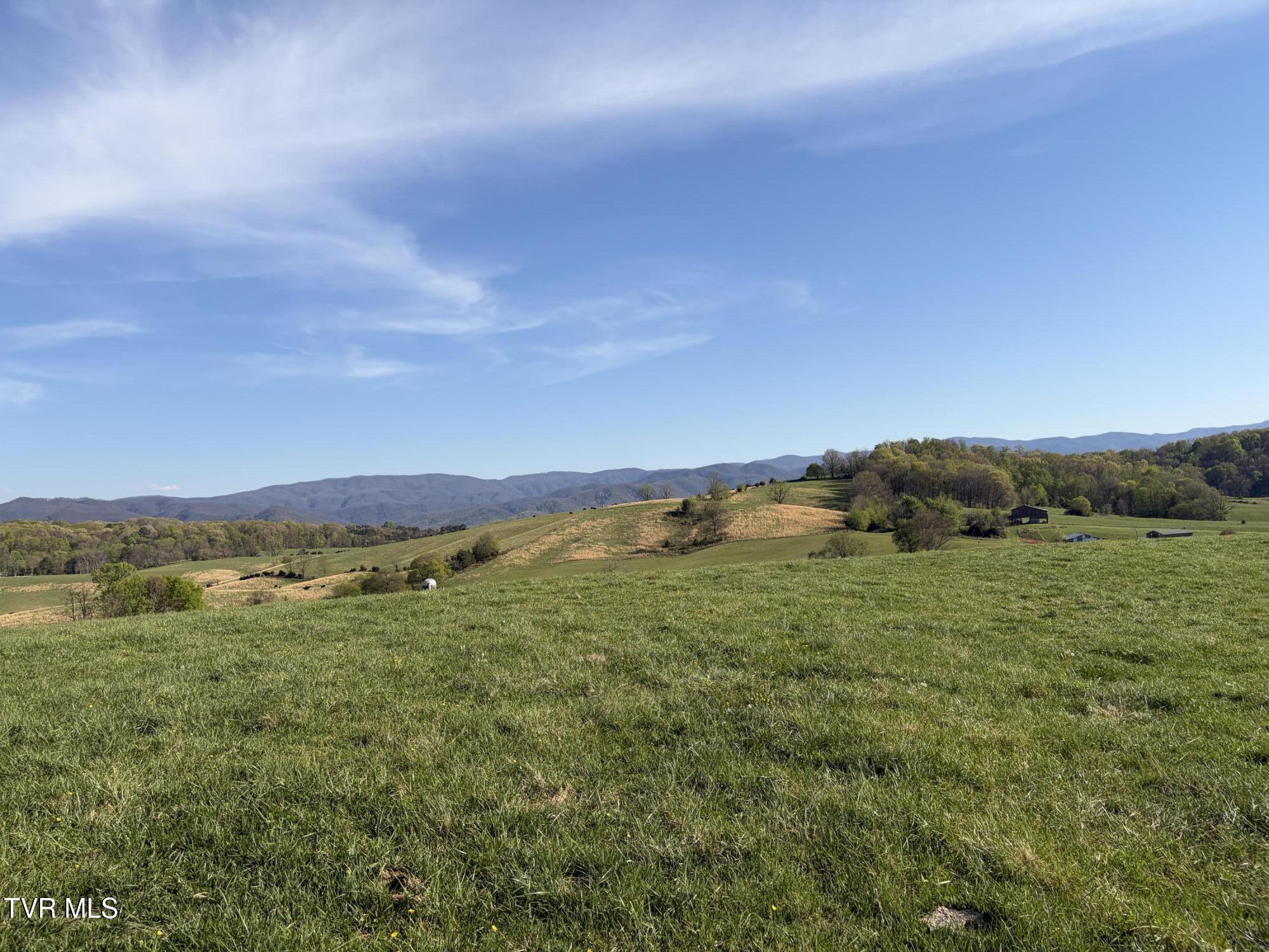 Lot 6 Ward Rowe Road, Unit 6 Limestone, TN 37681 - Photo 6 of 11 IMG_3954