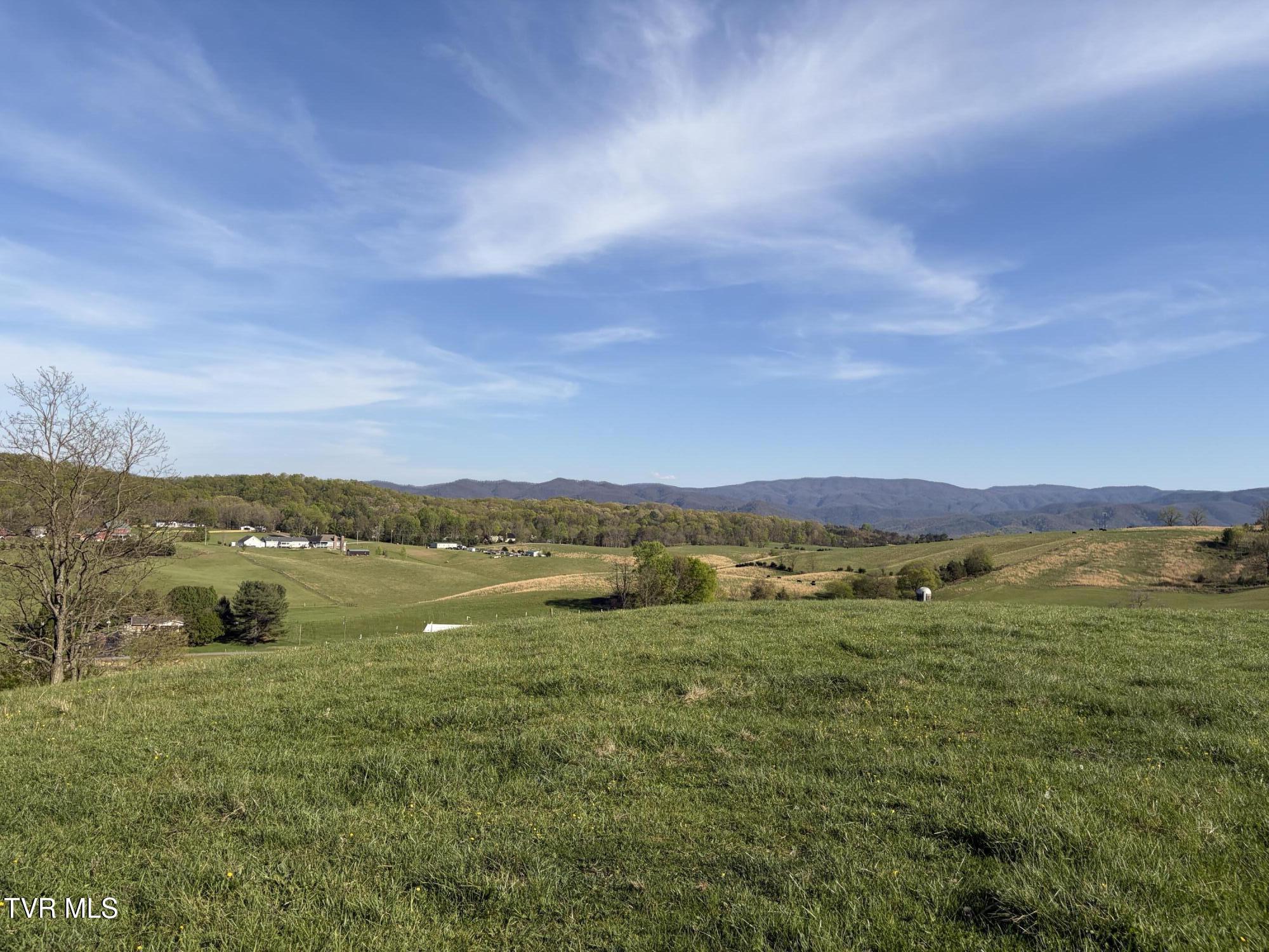 Lot 6 Ward Rowe Road, Unit 6 Limestone, TN 37681 - Photo 7 of 11 IMG_3953