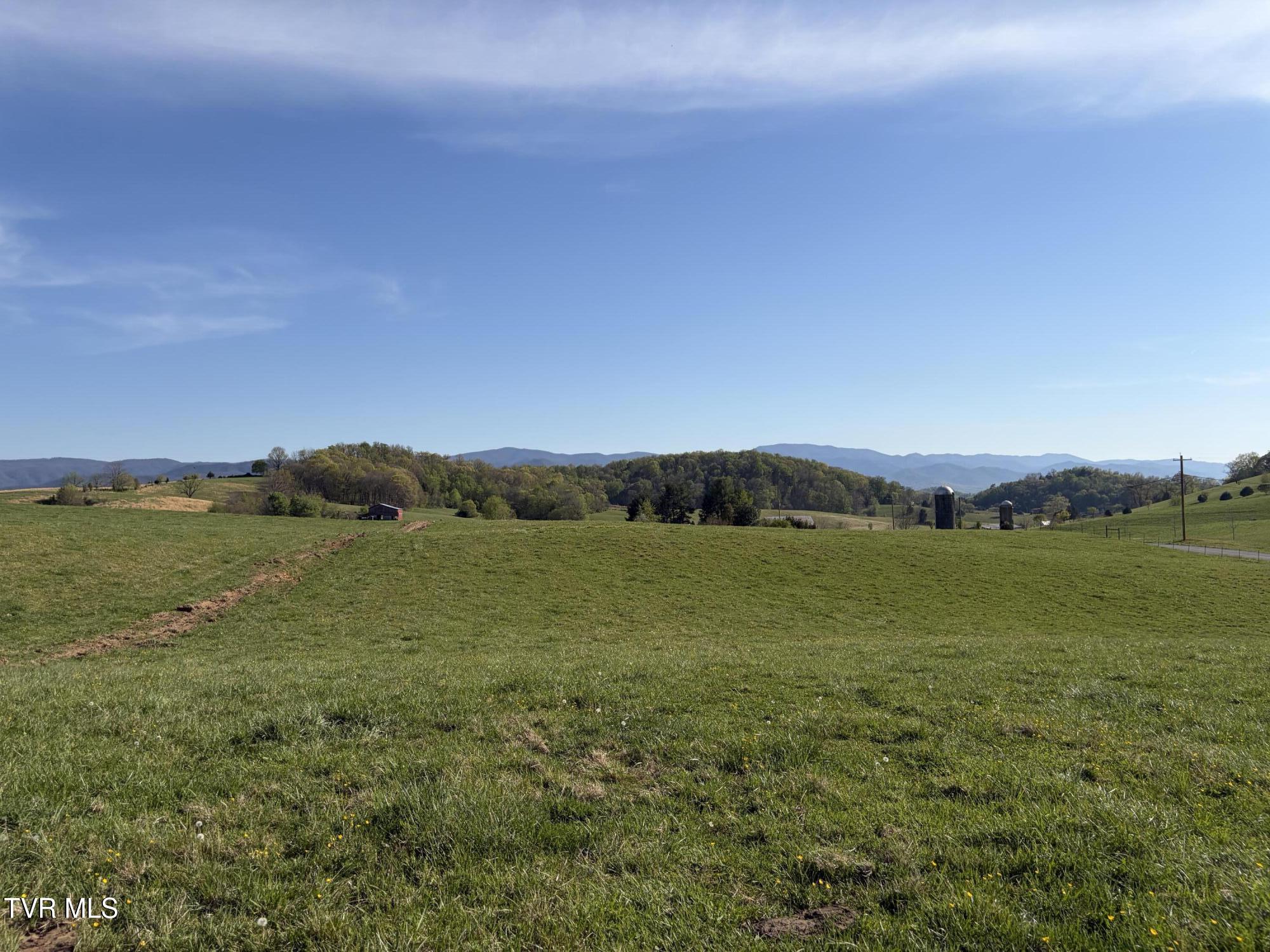 Lot 6 Ward Rowe Road, Unit 6 Limestone, TN 37681 - Photo 8 of 11 IMG_3950