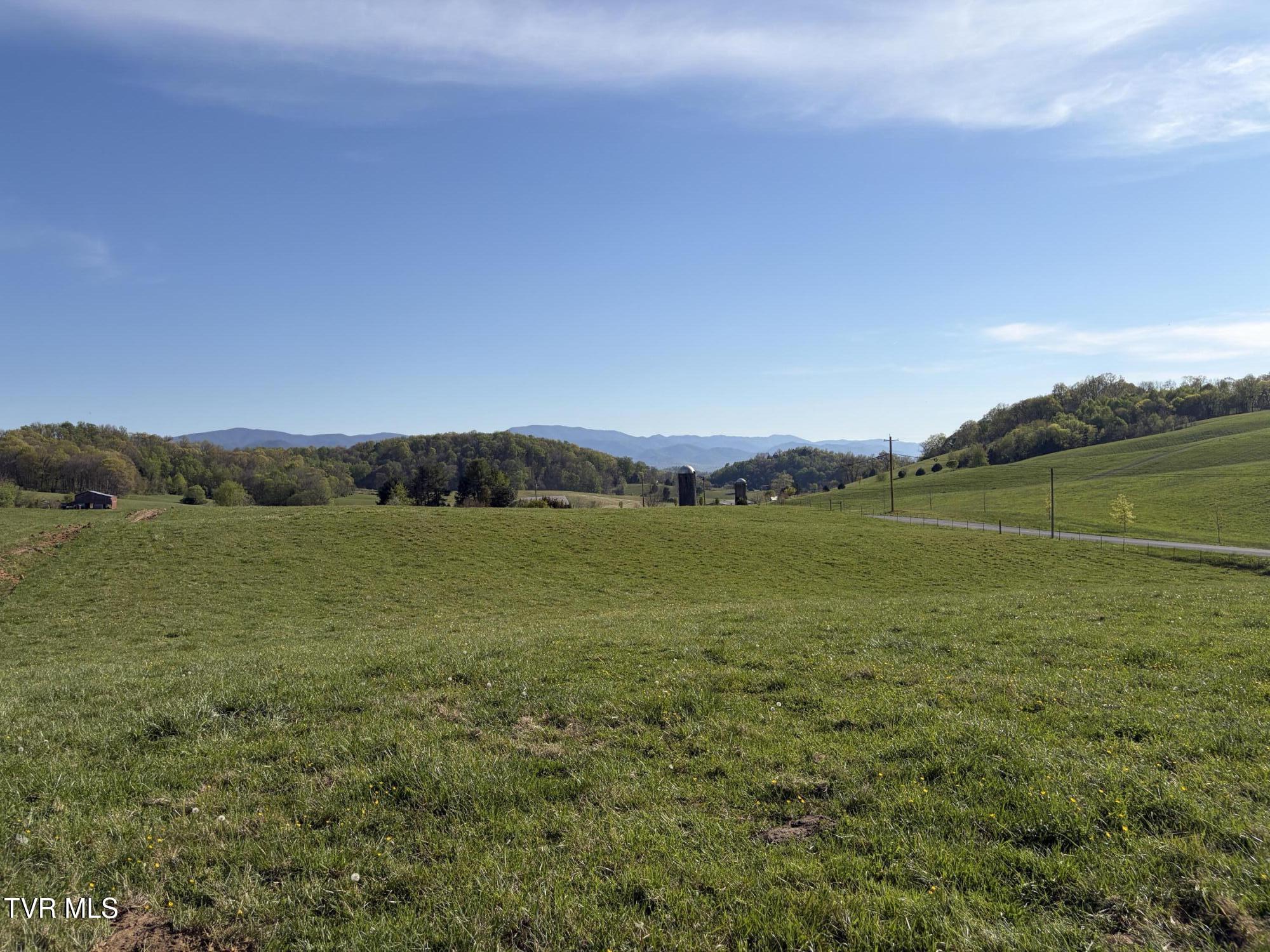 Lot 6 Ward Rowe Road, Unit 6 Limestone, TN 37681 - Photo 9 of 11 IMG_3949