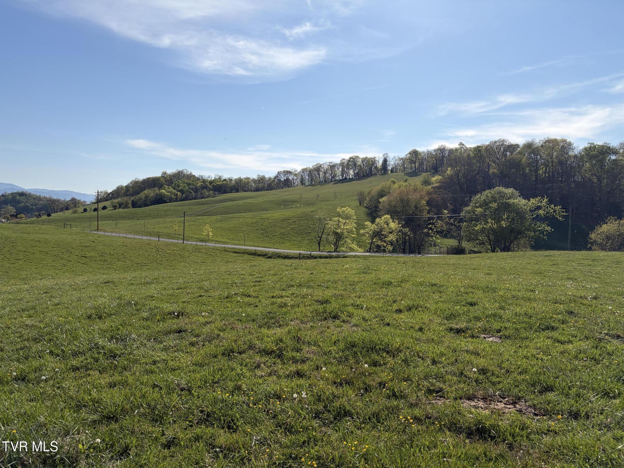Lot 6 Ward Rowe Road, Unit 6 Limestone, TN 37681 - Photo 10 of 11 IMG_3948