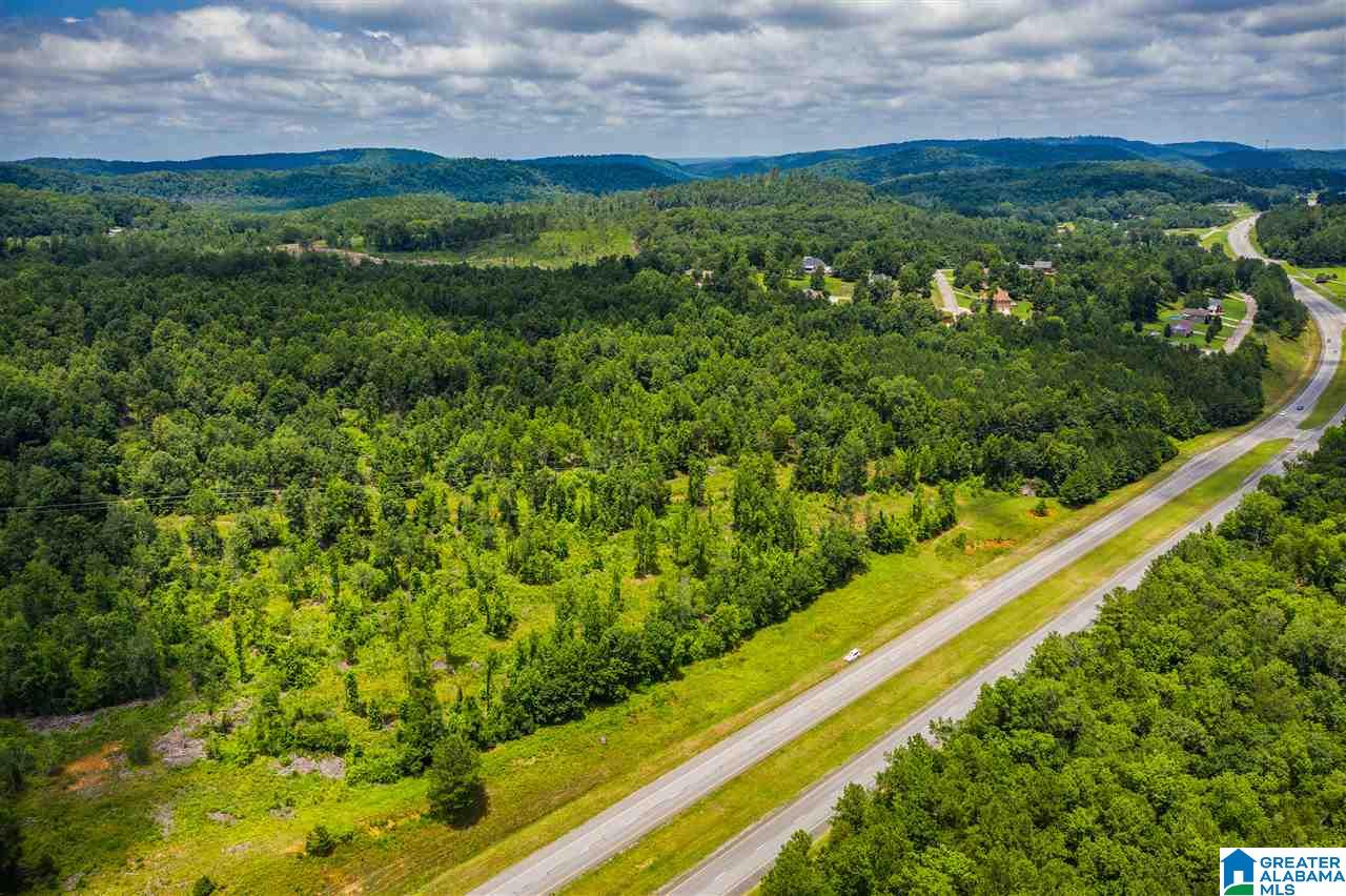 0 Highway 75, Unit 5032 Oneonta, AL 35121 - Photo 6 of 18
